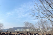 영산강유역환경청, 황룡강 장록습지 민·관·학 합동 정화활동 실시
