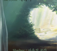 여수미술관, 여수 청년작가 배혜미 초대전 ‘Shelter : 사유의 공간’